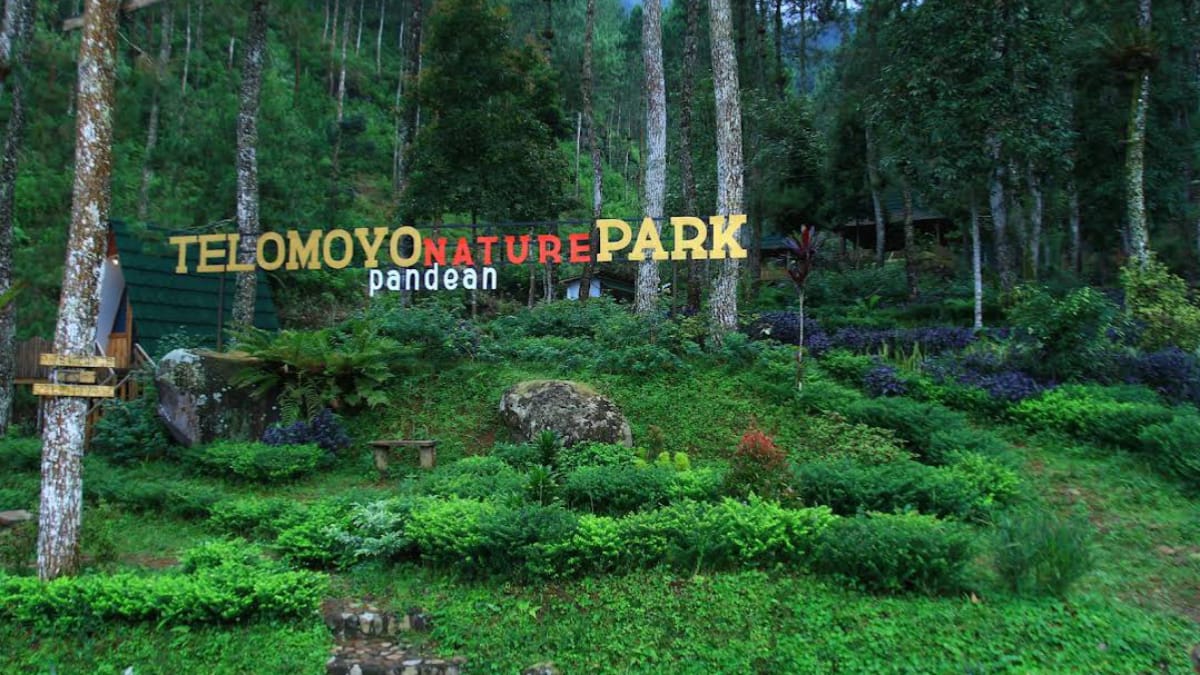 Telomoyo Nature Park: Surga Tersembunyi di Jawa Tengah